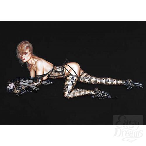 Фотография 1:  Комплект Va-Va-Bloom из коллекции Оливия Фотография 1:  Комплект Va-Va-Bloom из коллекции Оливия