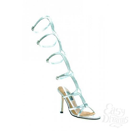  2   SEXY, : 12,5 , 36, 