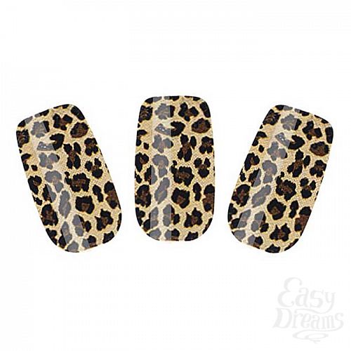  2        NAIL FOIL EF-NT05