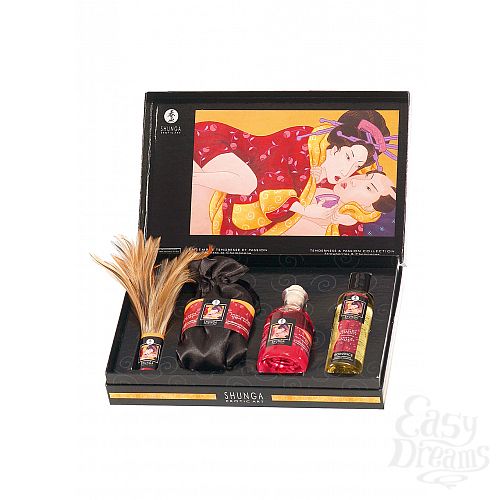  1:    Shunga Gift Set Tenderness/Passion, 