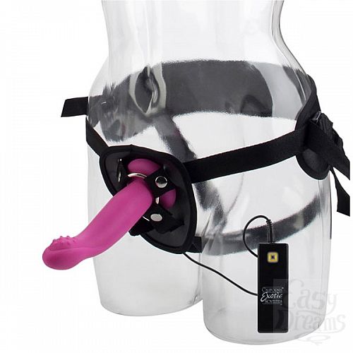  1:    RIDER G-CARESS