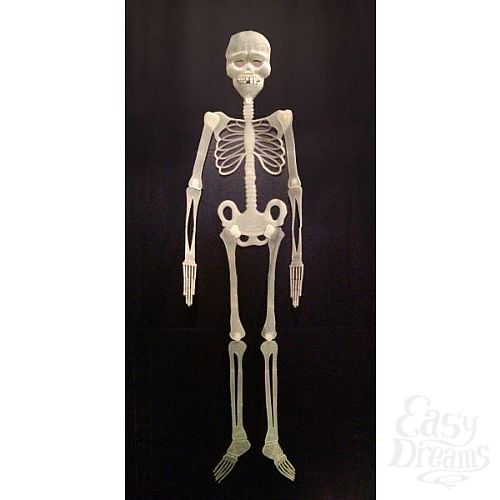  1:   