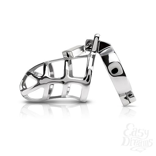  1:        METAL WORX-COCK CAGE