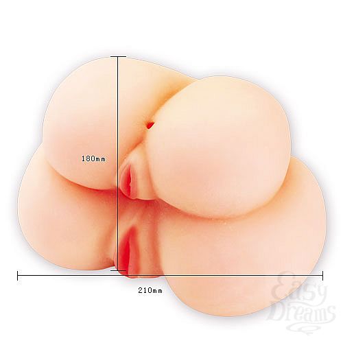  2     Two Passion Ladys BM-009136