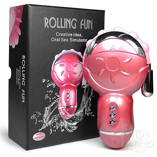  1:       Rolling Fun BI-014100