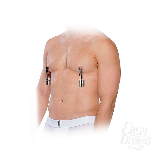  4        Nipple Weights