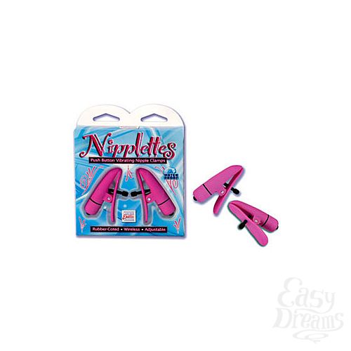  1:  -   NIPPLETTES 2589-04 BX SE