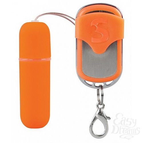  1:    Remote Vibrating Bullet 