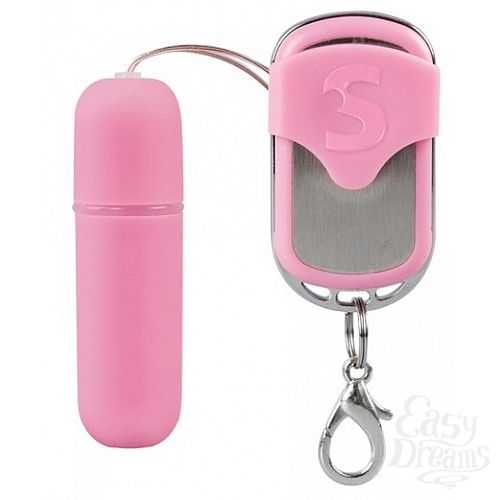  1:    Remote Vibrating Bullet 