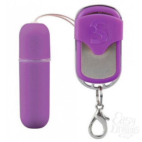  1:    Remote Vibrating Bullet 