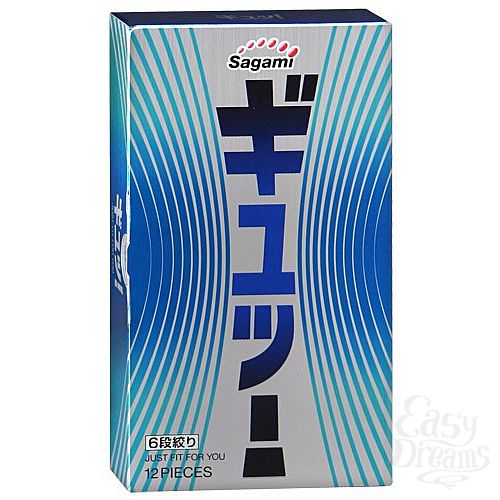  1:   Sagami  12 6 FIT V