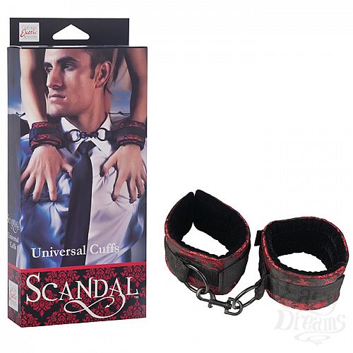 ���������� 1:  ������������ �����-��������� SCANDAL