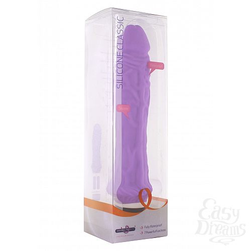  2   CLASSIC LARGE PURPLE V010B1X075P9