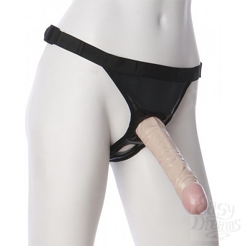  1:   Harness:   
