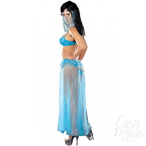 Фотография 2:  Костюм - Принцесса Востока Фотография 2  Костюм - Принцесса Востока