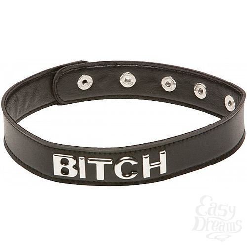  1:   X-Play Bitch Collar