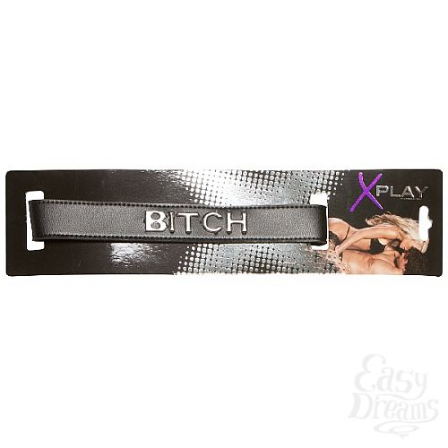 2   X-Play Bitch Collar