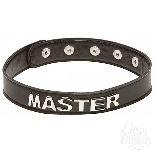  1:   X-Play Master Collar