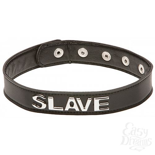  1:   X-Play Slave Collar  
