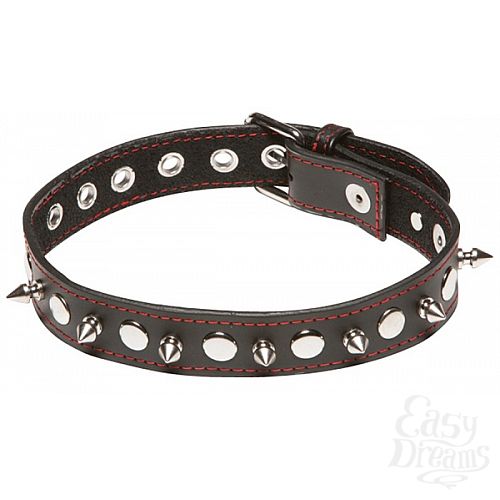  1:     X-Play Spiked Collar