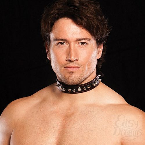  3     X-Play Spiked Collar