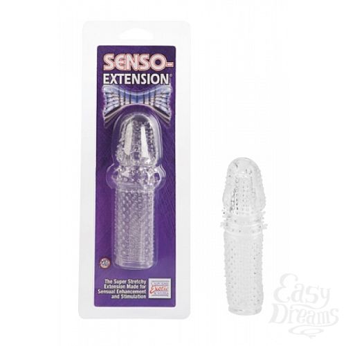 ���������� 1:  �������-���������� �� ����� SENSO EXTENSION ����������