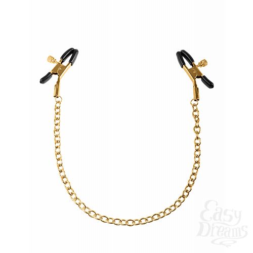  2   FF GOLD NIPPLE CHAIN CLAMPS 397727PD