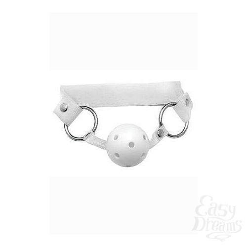  4   Asylum Patient Restraint Kit: ,   -