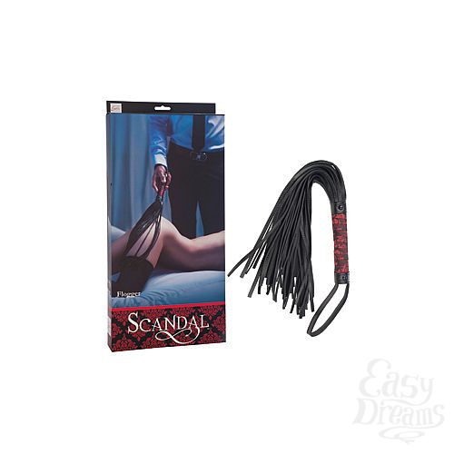  1:   Scandal Flogger     -  
