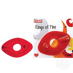      FLAME 0647-8 CD TS