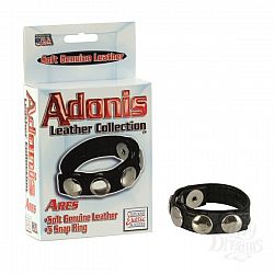  Adonis Leather Collection - Ares