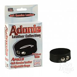  Adonis Leather Collection - Apollo