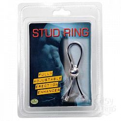  ׸     Stud Ring 