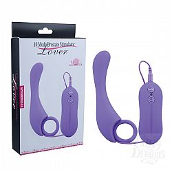     Prostate Stimulator-Lover - 13 .