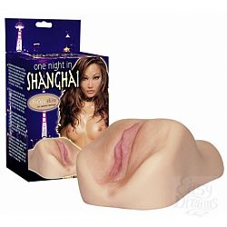  �����������-������ ONE NIGHT IN SHANGHAI
