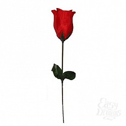      EIS101-RED