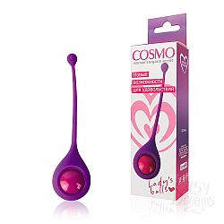         Cosmo