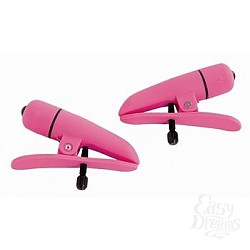        Nipplettes Pink 2589-04CDSE