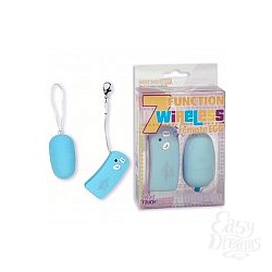      7-FUNCTION WIRELESS REMOTE - EGG