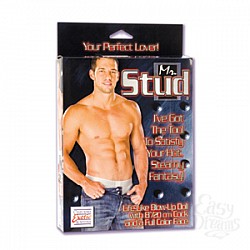  - Mr. STUD 1923-01 BX SE