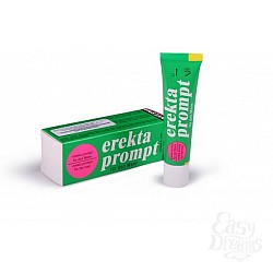     Erecta Prompt, 13 