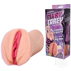    MARY CAREY
