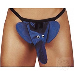  ������� ������� "����"