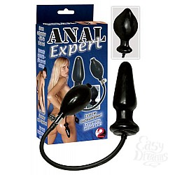   Anal Expert