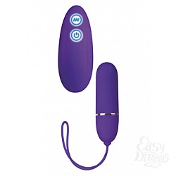    Posh 7 Funct Lovers Remote