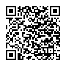    " PRINCE OF NAMIBIA - 20,5 ."  