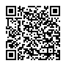    " Flash Blackberry ()"  