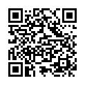    "   (ToyFa 113004)"  