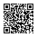    " V STYLE WHITE L 24210-04-03"  