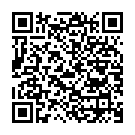    " Fun Factory UFO,  "  